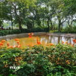 Công viên đất ngập nước Tinh Hồ - Trung tâm bảo tồn chim quý hiếm ở Trung Quốc