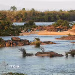 Cách thành phố Stung Treng khoảng 15km, khu du lịch cộng đồng cồn “Koh Meas Sesan” ẩn mình giữa dòng Sesan thuộc địa phận ấp Kamphun (xã Kamphun, huyện Sesan, tỉnh Stung Treng) đang trở thành điểm đến hấp dẫn du khách. Ảnh: Huỳnh Thảo - PV TTXVN tại Campuchia
