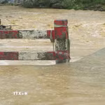 Ảnh minh họa. (Ảnh: Hương Thu/TTXVN)
