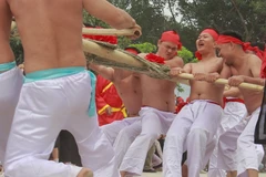 Tưng bừng giao lưu, trình diễn di sản kéo co Việt Nam và Hàn Quốc