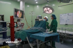 Đội ngũ bác sỹ, nhân viên y tế nữ tham gia ca phẫu thuật. (Ảnh: Minh Anh/Vietnam+)