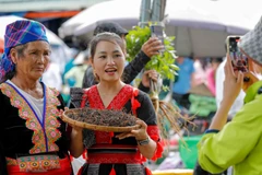 Loạt tác phẩm đoạt giải cao Giải thưởng Công nghệ từ trái tim lần 2