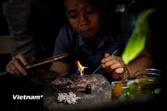  Phát triển làng nghề: Tạo sức bật để lao động trẻ lương chục triệu vẫn về làng