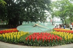 Rực rỡ sắc hoa bên Hồ Gươm. (Ảnh: Bảo Ngọc/Vietnam+)