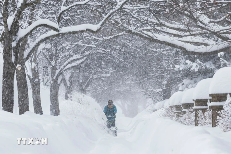 Canada tuyết phủ trắng xóa. (Ảnh: THX/TTXVN)