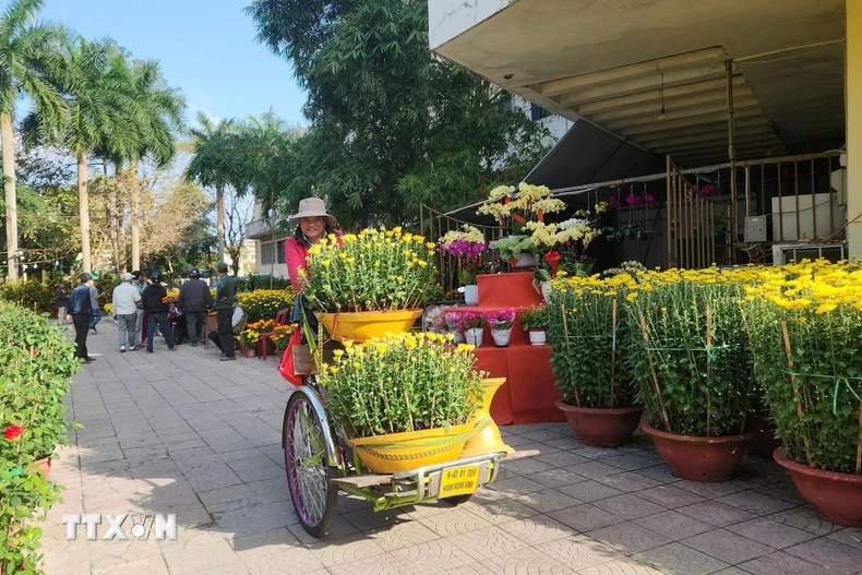 Sau khi được mua, các chậu hoa được vận chuyển đi từ chợ hoa. (Ảnh: Võ Văn Dũng/TTXVN)