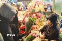 Người dân Hà Nội chọn mua hoa tại chợ. (Ảnh: Nguyễn Cúc/TTXVN)