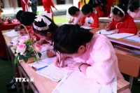 Học sinh trên địa bàn xã Nam Hồng, tỉnh Ninh Bình thực hiện khai bút. (Ảnh: Nguyễn Lành/TTXVN)