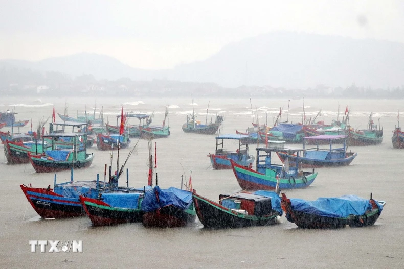 Ảnh minh họa. (Ảnh: Công Tường/TTXVN)