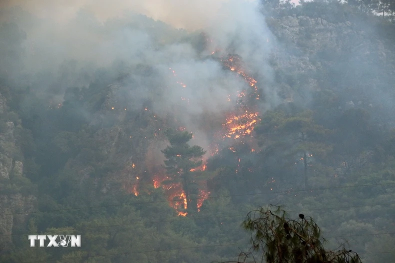 Ảnh minh họa. (Ảnh: THX/TTXVN)