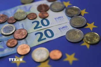 Đồng tiền giấy và xu mệnh giá 20 euro tại Brussels, Bỉ. (Ảnh: THX/TTXVN)
