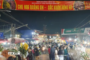 Chợ hoa Quảng An đông đúc những ngày giáp Tết. (Ảnh: Nguyễn Cúc/TTXVN)