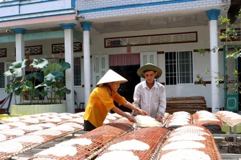 Người dân tranh thủ phơi bánh dưới nắng. (Ảnh: Lê Thúy Hằng/TTXVN)