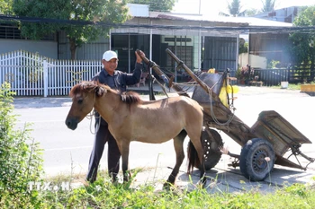 Những bến xe ngựa sầm uất thuở nào giờ chỉ còn là bãi đất trống nằm cặp Tỉnh 948, thuộc xã An Cư, tỉnh An Giang. (Ảnh: Công Mạo/TTXVN)