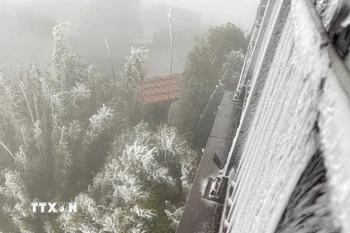 Nhiệt độ xuống -3 độ C, băng giá tiếp tục phủ trắng đỉnh Fansipan