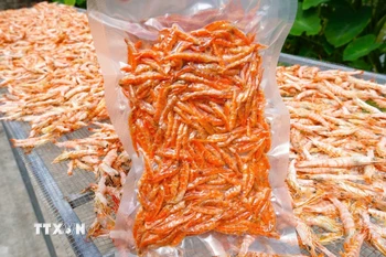 Tôm khô, hương vị Tết đặc trưng không thể thiếu của vùng Đất Mũi Cà Mau. (Ảnh: Huỳnh Anh/TTXVN)