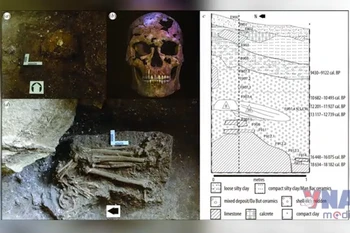 Ninh Bình phát huy giá trị chứng tích sinh học cách đây gần 13.000 năm