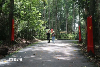 Đường dẫn vào các di tích ở Chiến khu Đ, tỉnh Đồng Nai. (Ảnh: Công Phong/TTXVN)