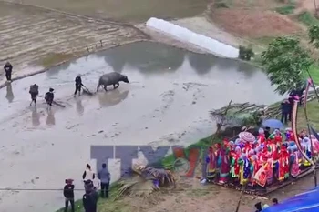 Lào Cai: Phát huy giá trị Lễ cấp sắc 12 đèn gắn với du lịch tâm linh