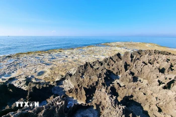 Rạn san hô hóa thạch ở Hòn Đỏ, xã Thanh Hải (Ninh Hải, Ninh Thuận). (Ảnh: Nguyễn Thành/TTXVN)