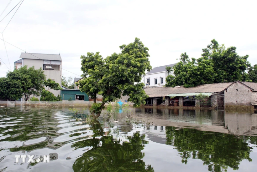 Ngập lụt do mưa lớn tại huyện Chương Mỹ, Hà Nội. (Ảnh: Minh Quyết/TTXVN)