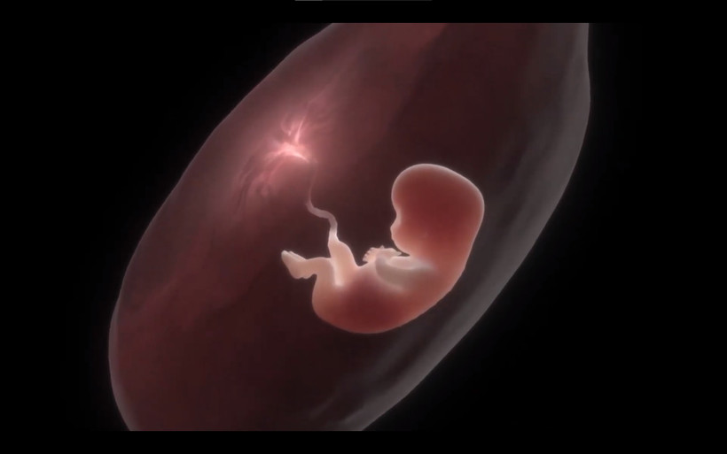 Một hình ảnh trong video quảng bá Liên hoan phim Khoa học 2022. (Ảnh: Ban tổ chức)