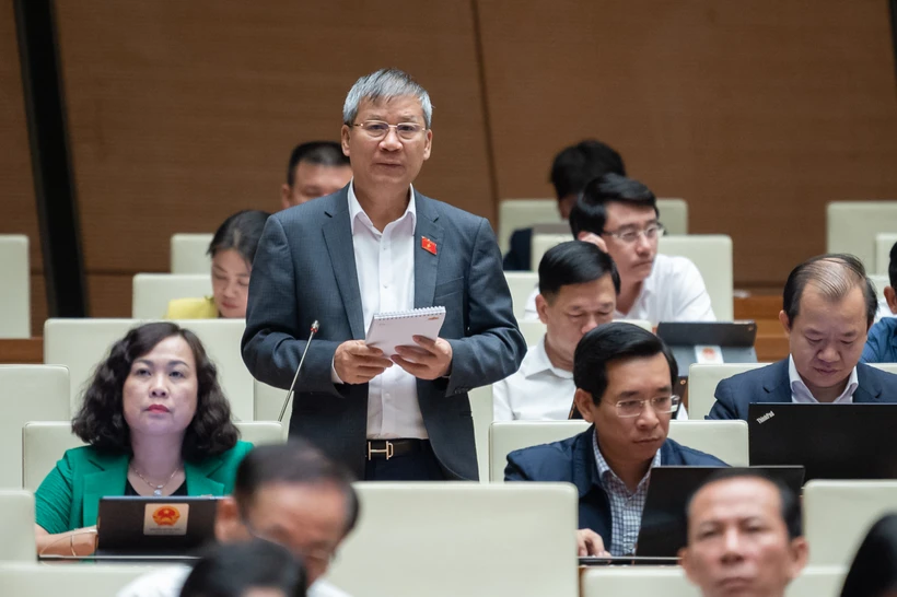 Đại biểu Nguyễn Anh Trí phát biểu tại hội trường. (Ảnh: CTV/Vietnam+)