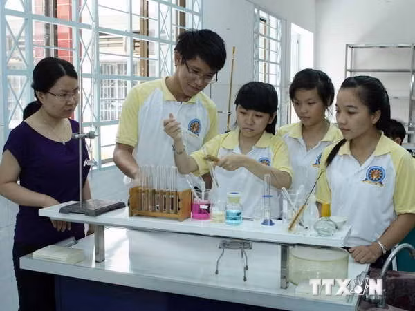 (Ảnh minh họa: TTXVN)