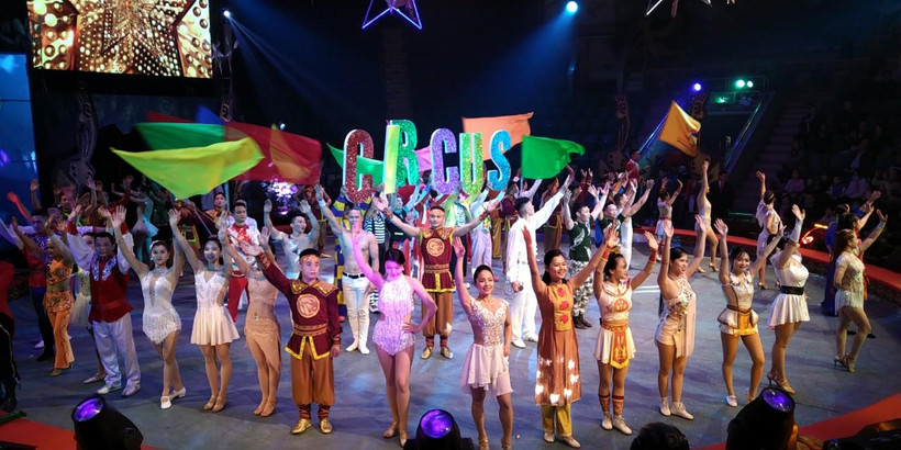 Tiết mục biểu diễn trong lễ kỷ niệm 65 năm thành lập Liên đoàn xiếc Việt Nam. (Ảnh: Minh Thu/Vietnam+)