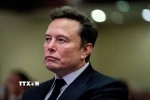 Ông Elon Musk. (Ảnh: Reuters/TTXVN)