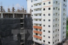 Ảnh chỉ có tính minh hoạ. (Nguồn: TTXVN)