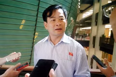 Đại biểu Nguyễn Đình Quyền cho rằng, phạt nặng trẻ em sẽ gây phản tác dụng. (Ảnh: Vietnam+)