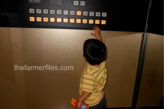 Ảnh chỉ có tính minh họa. (Nguồn: thefarmerfiles.com)