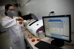 Ảnh chỉ có tính minh hoạ. (Nguồn: TTXVN) 