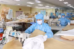 Tiền Giang khẩn trương giải quyết kiến nghị của doanh nghiệp FDI