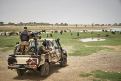 3 công dân Trung Quốc và 2 người Mauritania bị bắt cóc ở Tây Nam Mali