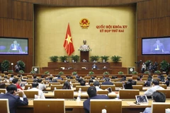 Cử tri Đà Nẵng quan tâm vấn đề an sinh xã hội và chất lượng giáo dục