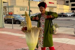 Mỹ: Hàng nghìn người đổ xô chiêm ngưỡng “hoa xác thối” 7 năm mới nở