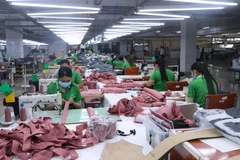 Chính phủ cần thiết kế gói hỗ trợ cho doanh nghiệp phục hồi và bứt phá