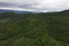 Hoàn thiện các đề án sửa đổi, bổ sung về phí tài nguyên môi trường