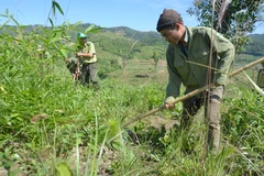 Thêm nguồn lực cho công tác quản lý, bảo vệ rừng tại Đắk Nông