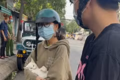 [Video] Tranh cãi chuyện đưa mèo đi khám giữa lúc phong tỏa COVID-19