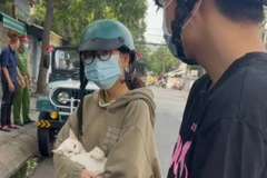 [Video] Tranh cãi chuyện đưa mèo đi khám giữa lúc phong tỏa COVID-19