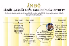 [Infographics] Ấn Độ sẽ nối lại xuất khẩu vaccine ngừa COVID-19