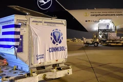 Paraguay, Uruguay tiêm vaccine cho cầu thủ trước thềm Copa America