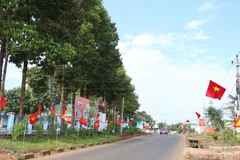 Chào mừng Đại hội XIII của Đảng: Đường cờ của niềm tin và kỳ vọng