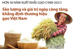 Sản lượng và giá trị gia tăng, khẳng định thương hiệu gạo Việt Nam