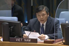 Việt Nam chủ trì cuộc họp Nhóm công tác HĐBA về các tòa án quốc tế