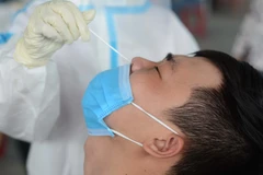 Quảng Nam: 14 ca nhập cảnh mắc biến thể Omicron đã được cách ly đầy đủ