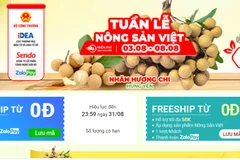 Nhãn lồng Hưng Yên từng bước lên sàn thương mại điện tử